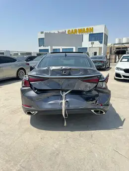 2019 LEXUS ES 350 LUXURY