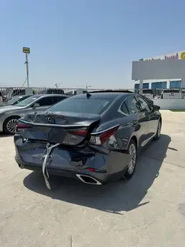 2019 LEXUS ES 350 LUXURY