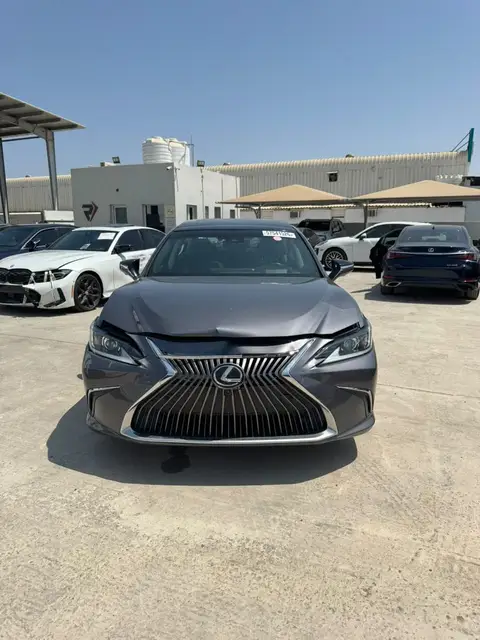 2019 LEXUS ES 350 LUXURY