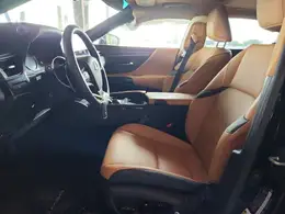 2025 LEXUS ES 300h