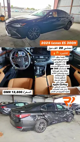 2025 LEXUS ES 300h