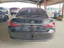 2025 LEXUS ES 300h