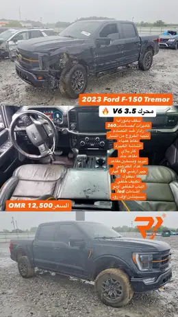 2023 FORD F-150 Tremor