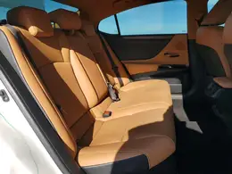 2022 LEXUS ES 300h