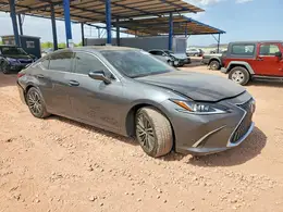 2025 LEXUS ES 350