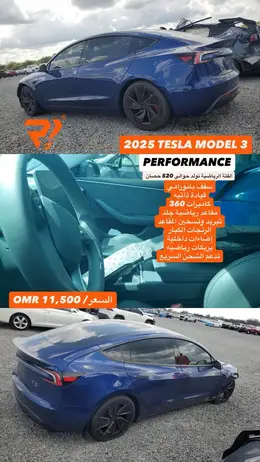 2025 TESLA MODEL 3 PERFORMANCE